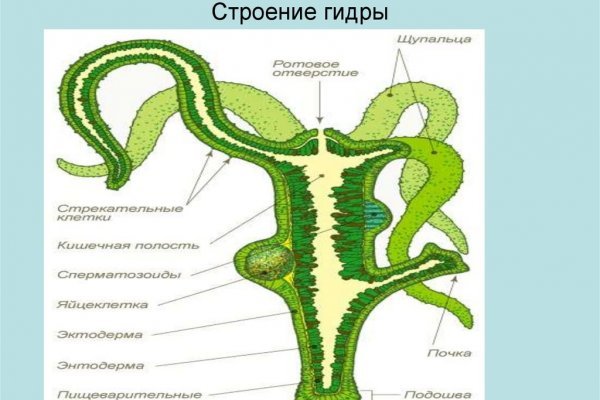 Вход на кракен