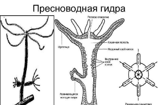 Ссылки даркнета