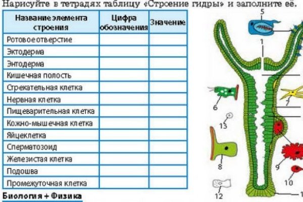 Кракен сайт ссылки актуальные