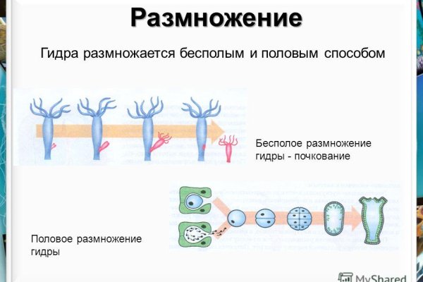 Можно ли восстановить аккаунт в кракен даркнет